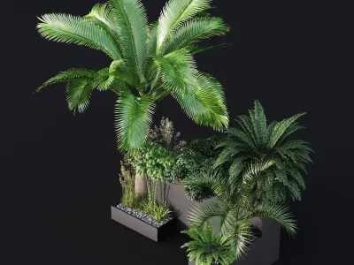 HQ Tree and bush garden box outdoor VOL 09 Free 3D model