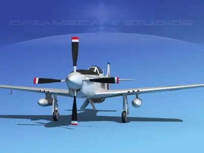 F-51D Mustang USAF 2 3D model