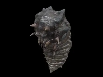 Alien Parasite Cocoon Low-poly 3D model