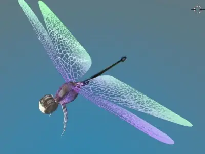 Dragonfly Low-poly 3D model