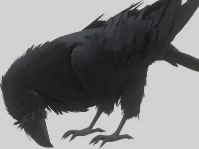 Animated Low Poly Raven Model With PBR Materials Low-poly 3D model