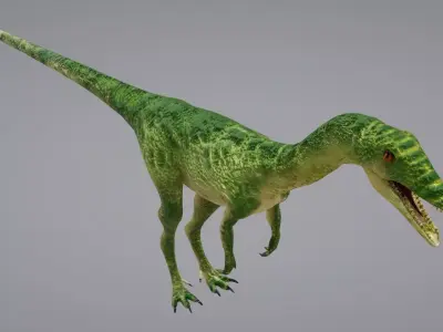 Coelophysis dinosaur 3D model