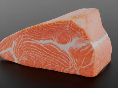 Salmon Fillet 3D model