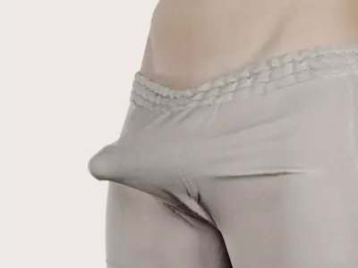 3D male penis scan Blend Shape 03 3D model