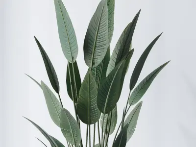 HQ Plants Bird Of ParadiseBird Vase Set01 3D model