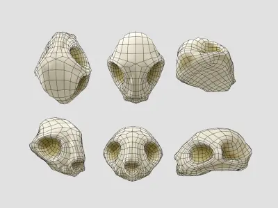 Cat skull  Low-poly 3D model
