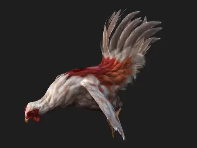 Chicken A2 3D model