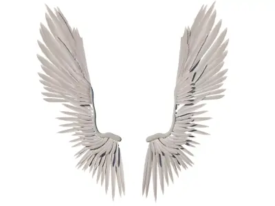Angel Wings Rig 3D model