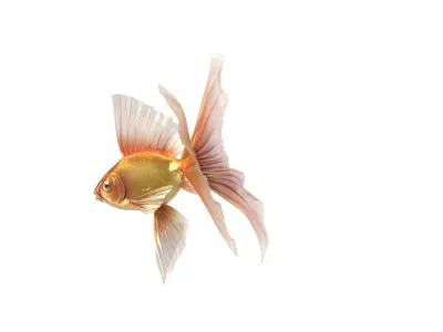 Fantasy Gold Fish rig Low-poly 3D model