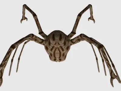Spider Monster - Game Ready Low-poly 3D model