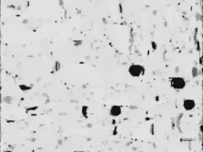 Cute Cartoon Baby Leopard 3D Model Low-poly 3D model