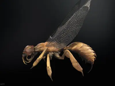 SpiderOsa Low-poly 3D model