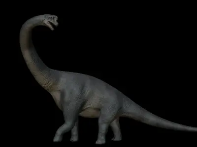Brachiosaurus dinosaur Low-poly 3D Model  Low-poly 3D model