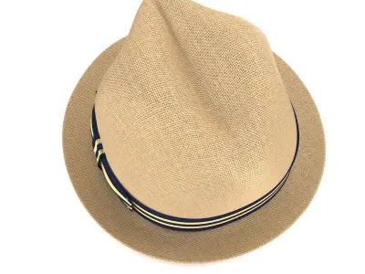 Women Fedora Hat 3D model