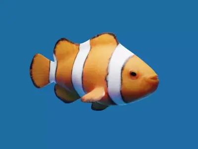 Realistic anemone clownfish ocean reef fish rigged  Low-poly 3D model