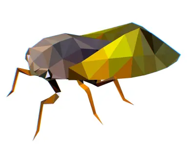 Animated Cicada Lowpoly Art Style Low-poly 3D model