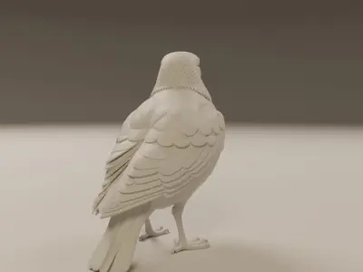 seagull 3D print model