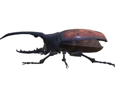 beetle dynastes Low-poly 3D model