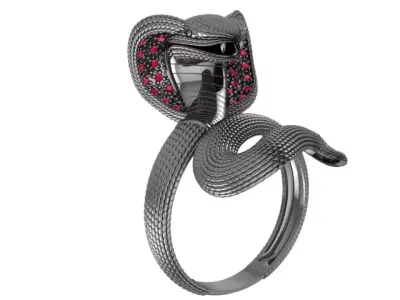 An 2461 Naja cravejada 3D print model