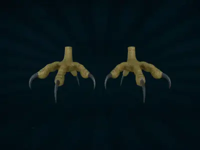 FOOT-005 Rigged Bird Foot Low-poly 3D model