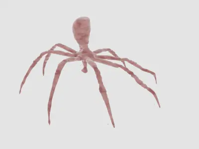 dangerous strange spider 3d model fully detailed and rigged Free 3D model
