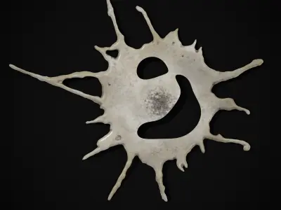 Bird Poop Pack Low-poly 3D model