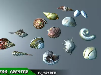 Lowpoly Under Water Shell Collection Pack 3d model Low-poly 3D model