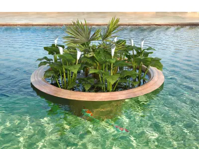 Bassin Set 01 - Koi fishs 3D model