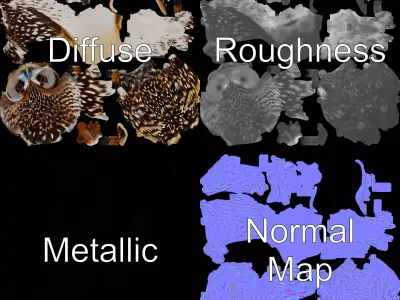 Spotted Owl Texture model pack Texture