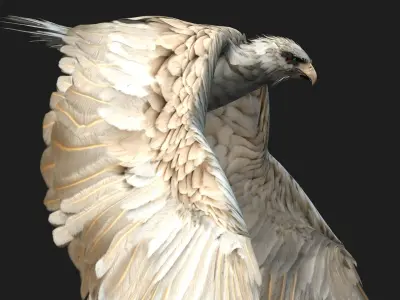 Eagle A2 3D model