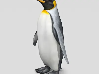 Penguin - King 3D model