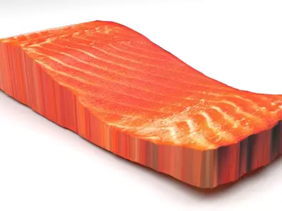 Sliced Salmon Fillet 3D model