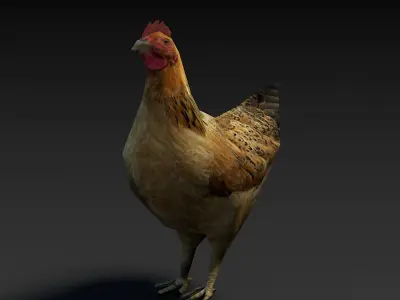Low Poly Hen rooster Low-poly 3D model