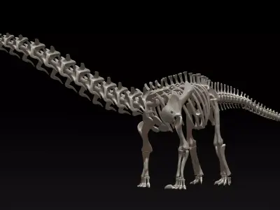 3D Diplodocus Skeleton Low-poly 3D model
