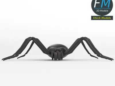 Spider base mesh 3D model