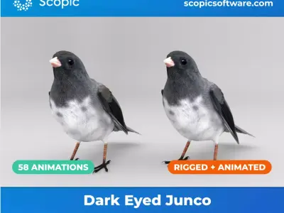 3D Bird Pack Dark Eyed Junco Male and Female Low-poly 3D model