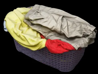 Bag-Container with Clothes Collection 03 3D model