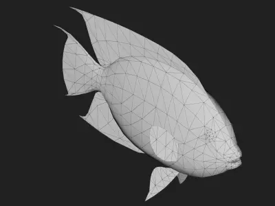 Rockbeauty Low-poly 3D model