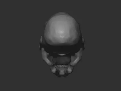 Alien Skull 3D print 3D print model