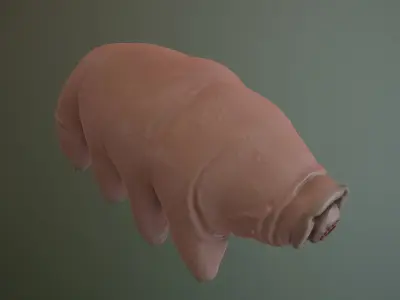 Tardigrade  Midpoly 3D model