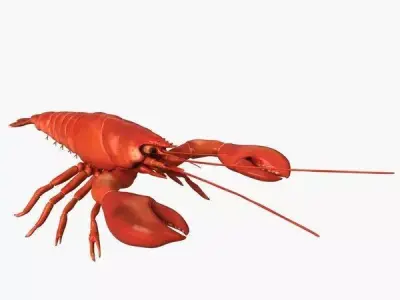 Lobster Free low-poly 3D model