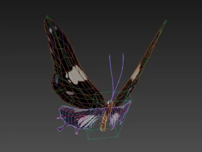 butterfly scalewing wing fly 3D model