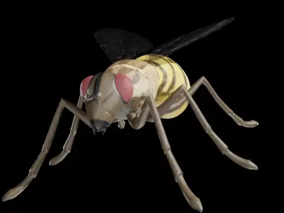 Housefly fully rigged low poly Low-poly 3D model