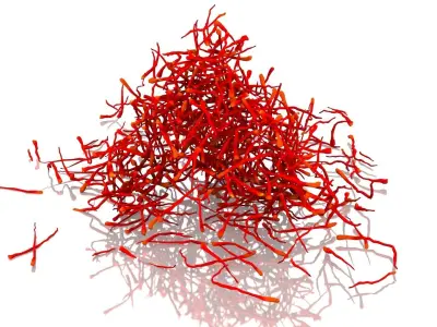 Saffron Stigma 3D model