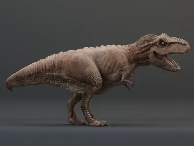 Tyrannosaurus Rex Rigged Low-poly 3D model