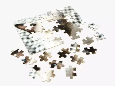 48-piece jigsaw puzzle 3 3D model
