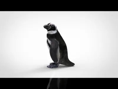 PENGUIN Low-poly 3D model