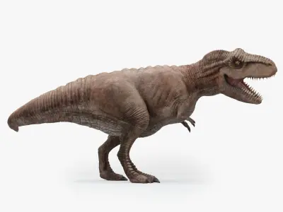 Tyrannosaurus Rex Rigged Low-poly 3D model