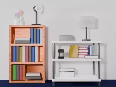 Beginner Wooden Shelf Bookcase and White Shelf Free 3D model
