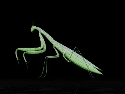 Mantis 3D MODEL Low-poly 3D model